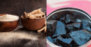 sea moss and shilajit benefits